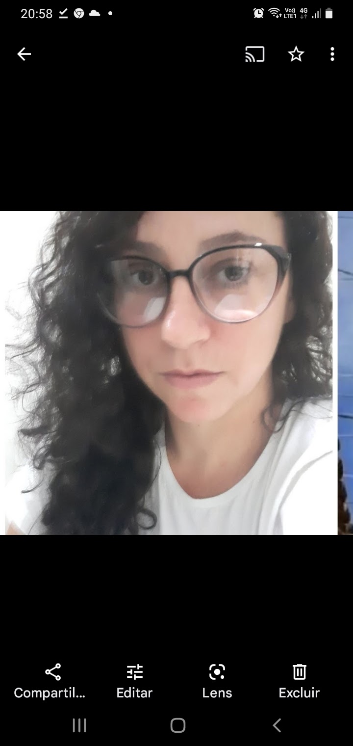 DIRLENE DA SILVA FUGANIOLLI RIBEIRO